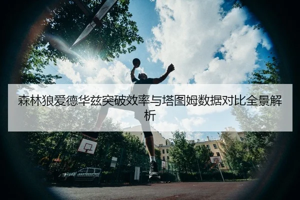 森林狼爱德华兹突破效率与塔图姆数据对比全景解析